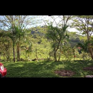 Meet your Posher, Joseph